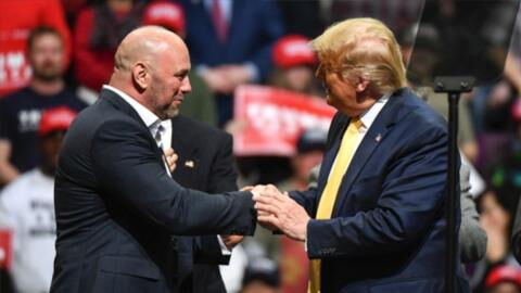 Once Again, UFC President Dana White Is Coming Out in Support of Donald Trump