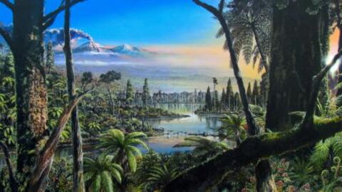 Scientists Find Evidence of a Tropical Forest in Antarctica More Than 90 Million Years Ago