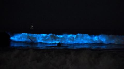Mysterious Bioluminescent Waves Light Up Southern California Beaches (VIDEO)