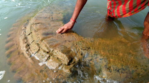 500-year-old sunken temple lost in a flood has finally been rediscovered