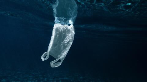 Researchers have found plastic waste in the deepest part of the ocean