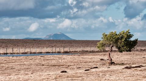 How arctic warming could be causing the current heat waves and droughts