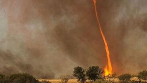 'Firenados' are a rare but very real and destructive phenomenon in Australia