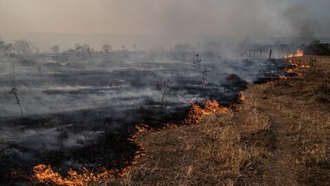 Climate Change Report a ‘Code Red For Humanity’