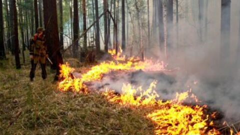 The Arctic Is On Fire And It Could Have Some Serious Consequences