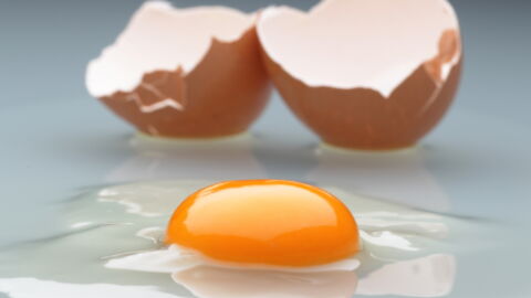 In Japan, These Students Watched The Formation Of A Chick Outside Of Its Egg