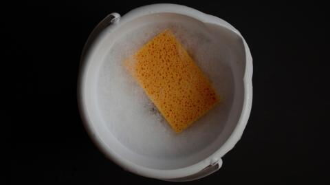 Witness the spectacular effect of sulphuric acid on sponges
