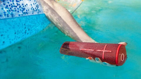 Thanks to their early Black Friday sales, Amazon is practically giving away these UE speakers