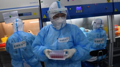 Scientists Have Discovered A New Virus In China That Could Trigger Another Pandemic