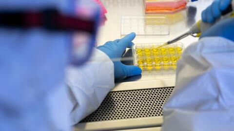 Scientists Are Worried About a Mysterious Disease That, Like the Coronavirus, Has an Animal Source