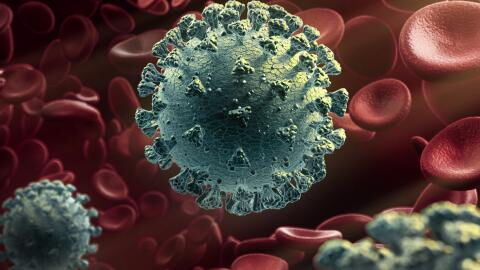 COVID-19: a study shows one blood group is more resistant than others