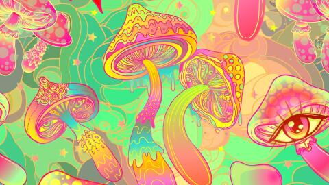 Psychedelics: The next big thing for mental health treatment