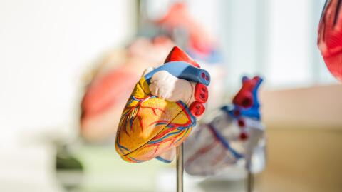 Signs to watch out for to avoid heart disease