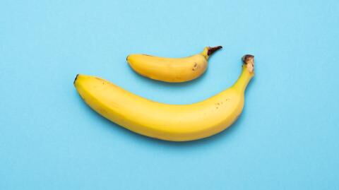 Are you a grower or a shower? This study explains the difference