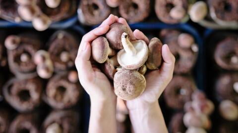 Depression: Eating mushrooms could lower your risk of depression