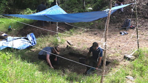After Letting Archaeologists Dig in His Yard, They Made a Discovery Unlike Any Other