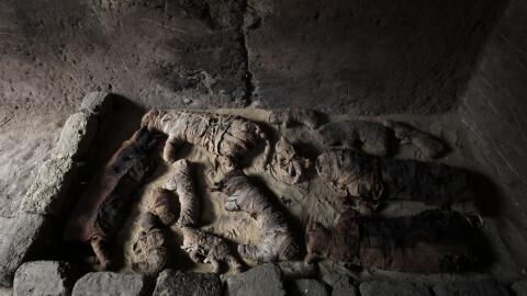 Archaeologists find world's oldest pet cemetery in Egypt