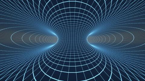 Optical illusion: Can you find the dog in this image?