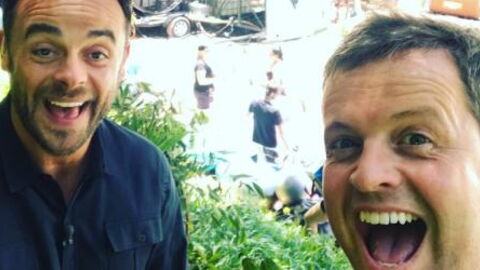 Ant And Dec Confirm 2019’s I’m A Celeb Line Up Has Been Decided