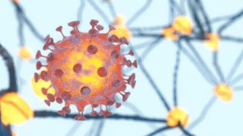 The 'third silent wave' of the coronavirus will be very different from the first two