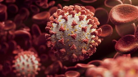A new strain of coronavirus has been discovered in the UK