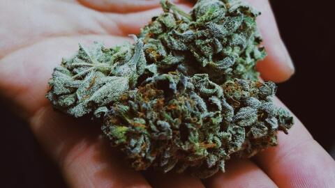 Lockdown stress has fueled a boom in cannabis use