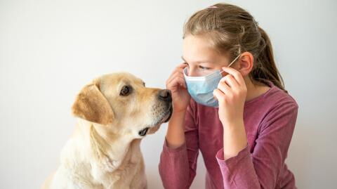 A new coronavirus has been discovered to pass from dogs to children