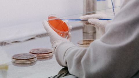 New COVID variant that has been spreading in Florida is under investigation