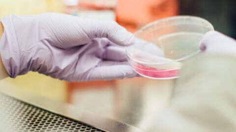 COVID treatment: Clinical trials underway for suppository drug to fight virus