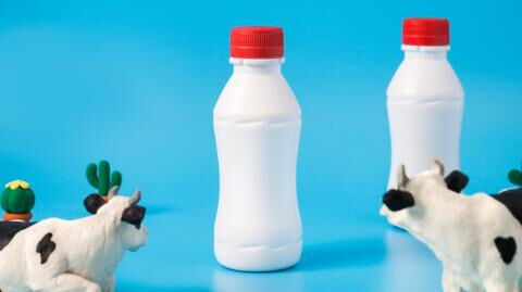 UK farmers told to throw away thousands of litres of milk due to driver shortage
