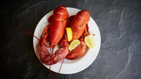 Boiling lobsters alive may soon be illegal as report suggests they have feelings