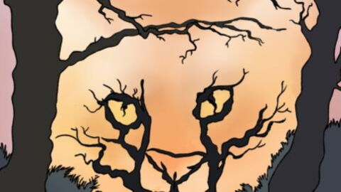 Personality test: What you see first in this picture says a lot about you