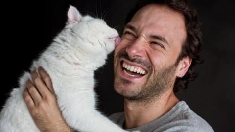 Study shows women are less likely to swipe right on men with a cat in their profile picture