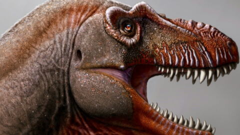 Researchers Have Uncovered A New Species Of Dinosaur Named 'Reaper Of Death'
