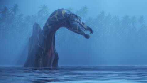 A one hundred million-year-old fossil proves that one dinosaur lived underwater