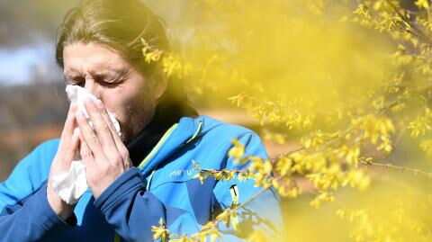 Think your allergies are getting worse? You're not the only one and science explains why