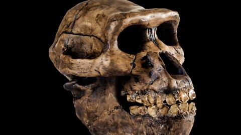 The surprising consequence of climate change on the human body