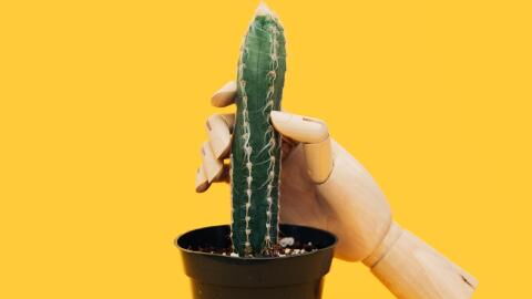 Masturbation: Should you stop when you’re in a relationship?