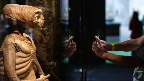 Venus: Ammonia in clouds found to sustain alien life