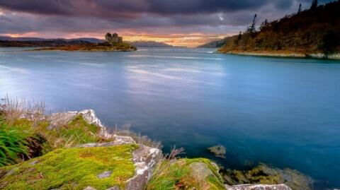 Scottish Island has been put on auction