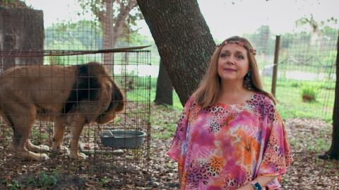 Ant And Dec Tease Carole Baskin I’m A Celeb Appearance