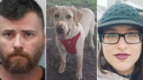 A Woman Arranged To Have A Sexual Encounter With A Dog For Its First Birthday