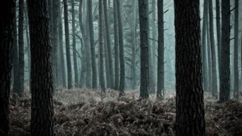 These are creepiest sounds you will ever hear