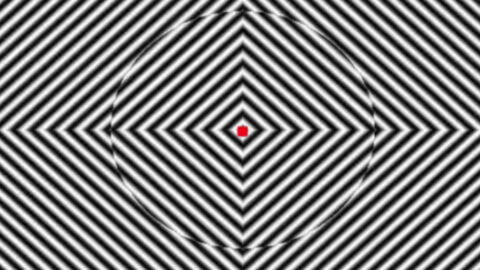 You Won't be Able to See Straight After Watching This Optical Illusion