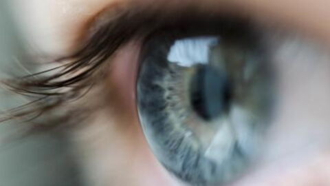 There's No Way You Can See All the Dots in This Image and Here's Why