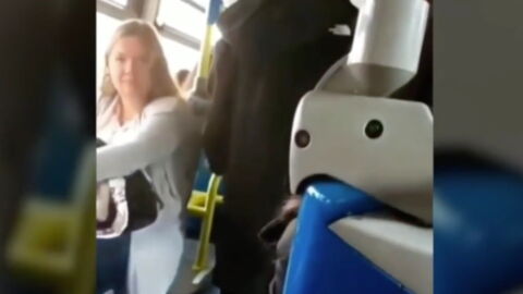 A Racist Attack in a Madrid Bus Went Viral for a Shocking Reason