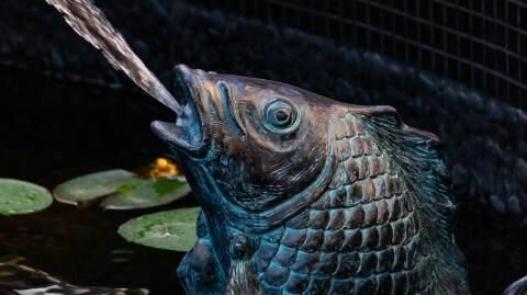 This Phallic-Shaped Photo Is Causing Quite a Stir