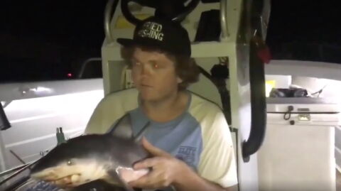 This Aussie fisherman sparked outrage after defiling a shark on video