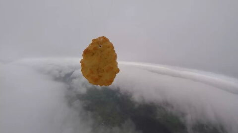 Iceland supermarket chain helps chicken nugget make first-ever flight into space