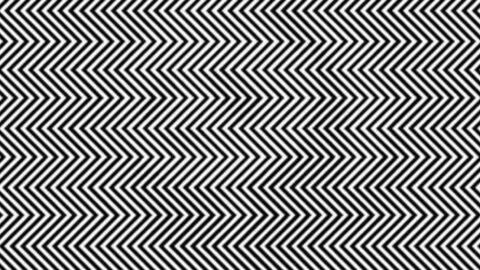 Can You Spot The Hidden Animal In This Picture?